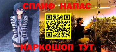 прущие крисы Ирбит