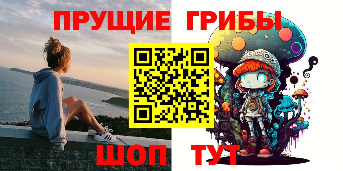 Псилоцибиновые грибы Cubensis Лабинск