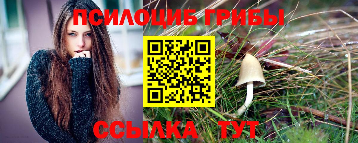 Псилоцибиновые грибы Psilocybe  Вход с VPN  Лабинск 